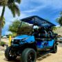 2025 Venom EV Golf Cart for sale