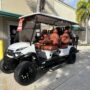 2025 6 passenger luxury lithium golf cart