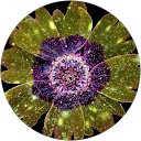 Ashley Jamison profile picture